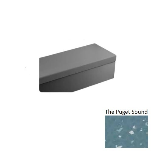 Johnsonite The Puget Sound Hammered Stair Tread