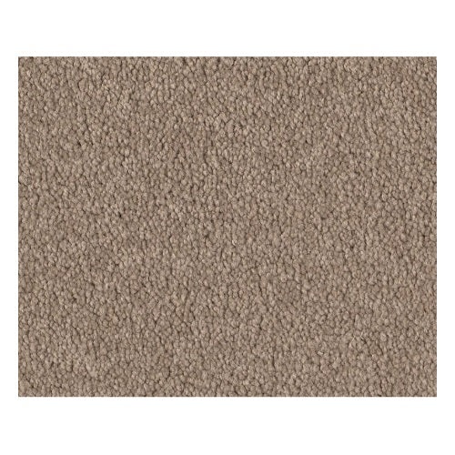Qs158 12' Soft Shadow Nylon Carpet - Textured