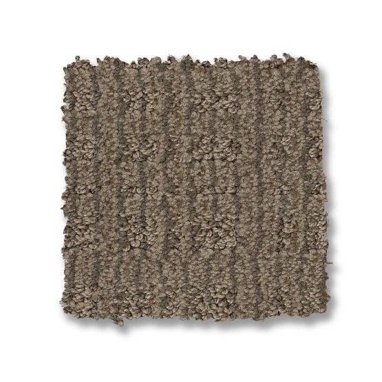 Pet Perfect Purrsuasion Craftsman Nylon Carpet - Pattern