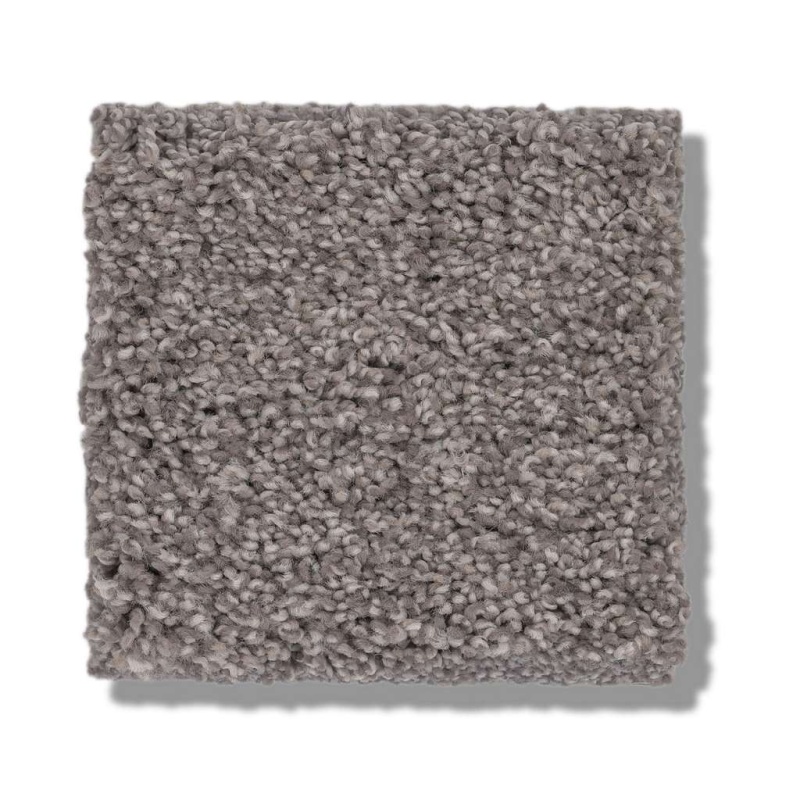 Caress By Shaw Cozy Harbor Ii Ridgeview Nylon Carpet - Textured