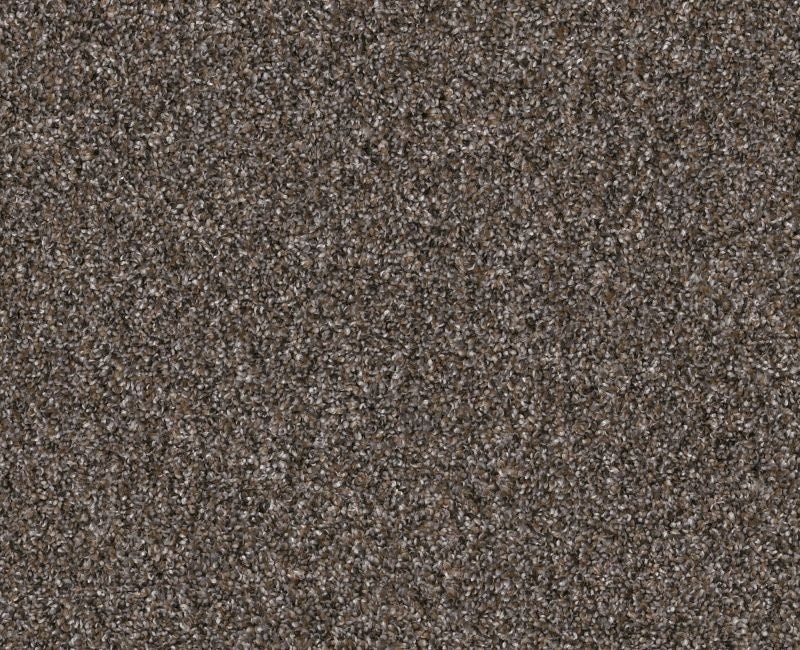 Yes You Can Ada Ii 15' Cafe Noir Polyester Carpet - Textured
