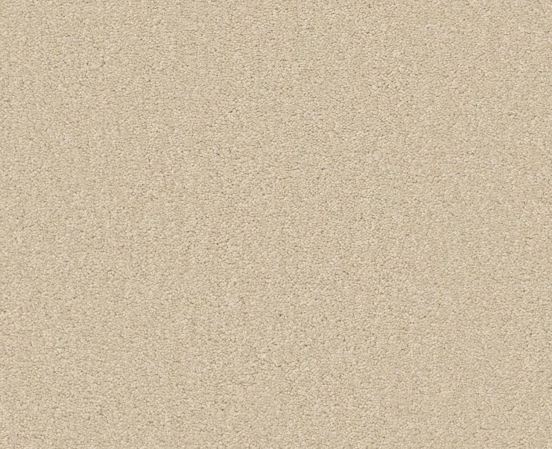 Magic Happens Pv Iii Parmesan Nylon Carpet - Textured