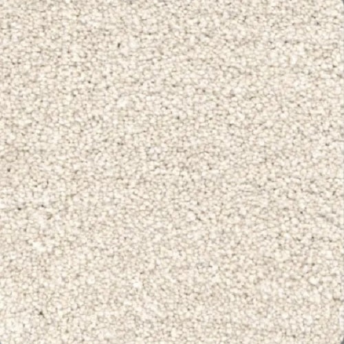 Momentum II Beach Sand Polyester Carpet - Textured