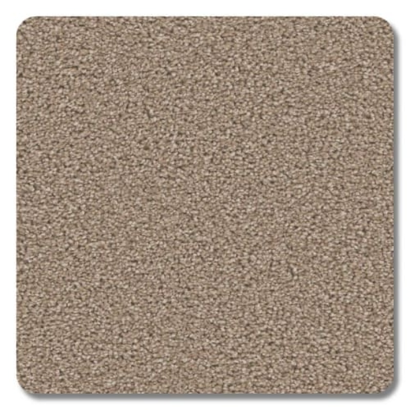 Riverbend Mocha Polyester Carpet - Textured