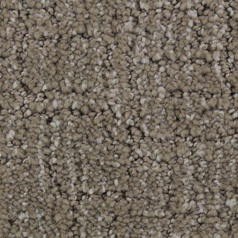 Natural Artistry Deep Slate Triexta Carpet