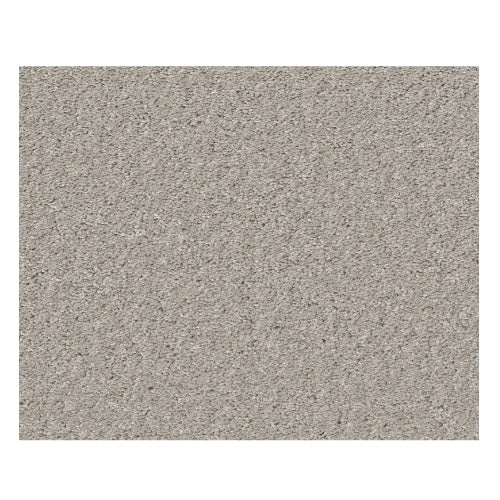 Smooth Talk II Silver Mist Polyester Carpet - Textured