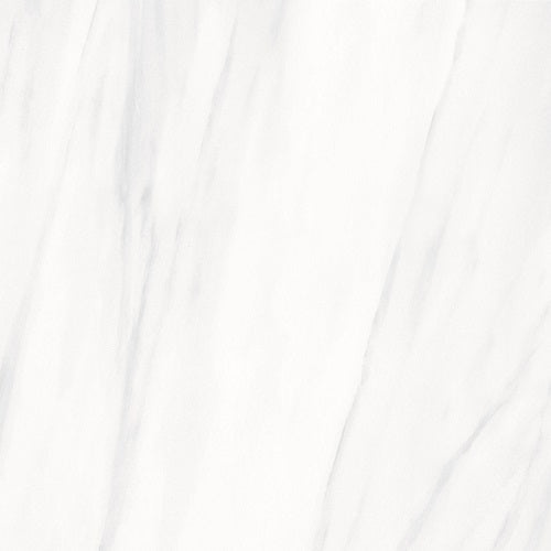 Carrara White Porcelain Tile - Matte - 12" X 24"