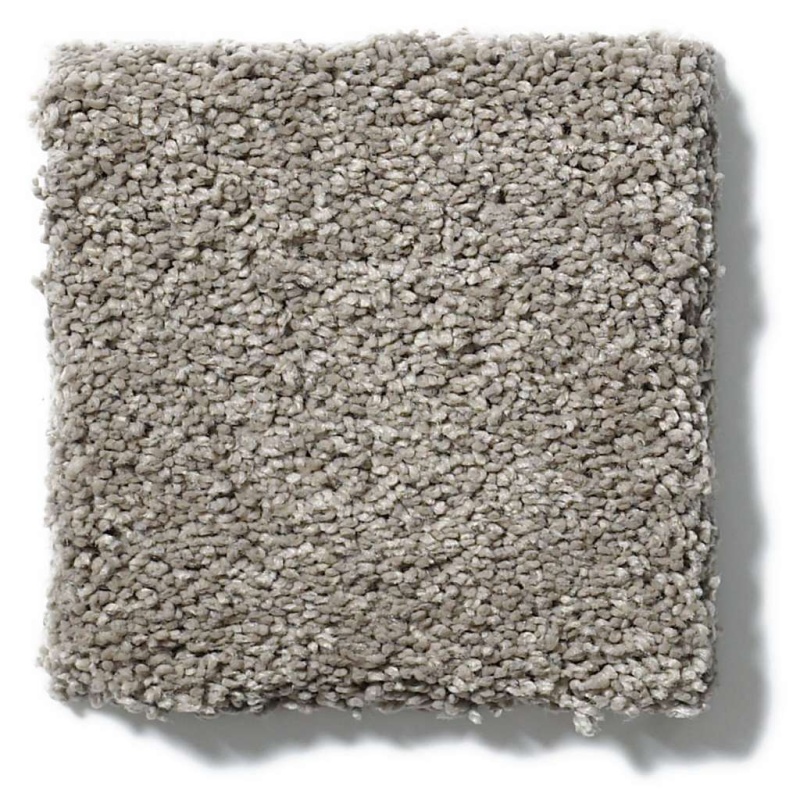 Caress By Shaw Quiet Comfort Classic Ii Barnboard Nylon Carpet - Textured