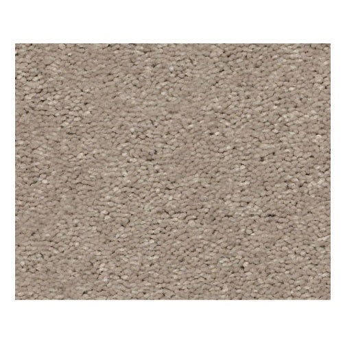 Topanga Beach Ii Pebble Path Polyester Carpet - Textured