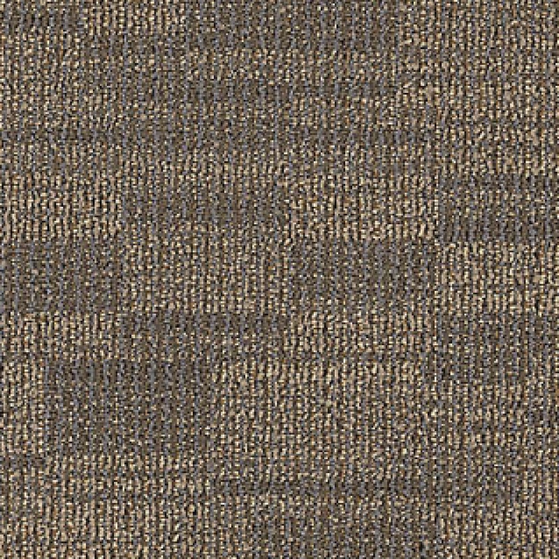 Inspiration Distinctive Appeal Qs Original Impact Nylon Carpet - Loop