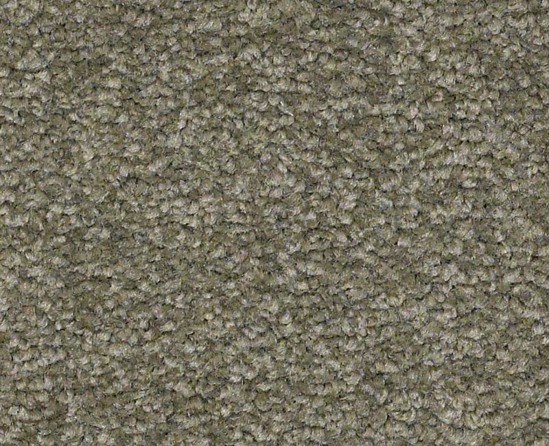 Endura Iii 15' Alpine Fern Nylon Carpet - Pattern