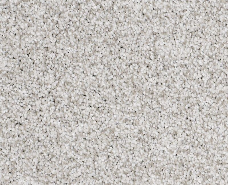 Color Express Tonal I Classique Nylon Carpet - Textured