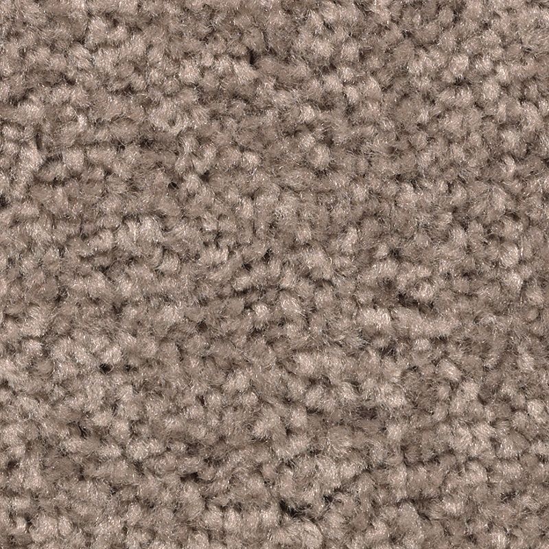 Treasure Valley Mesquite Chip Polyester Carpet - Textured