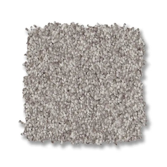 Classics Terra Nova Platinum Nylon Carpet - Textured