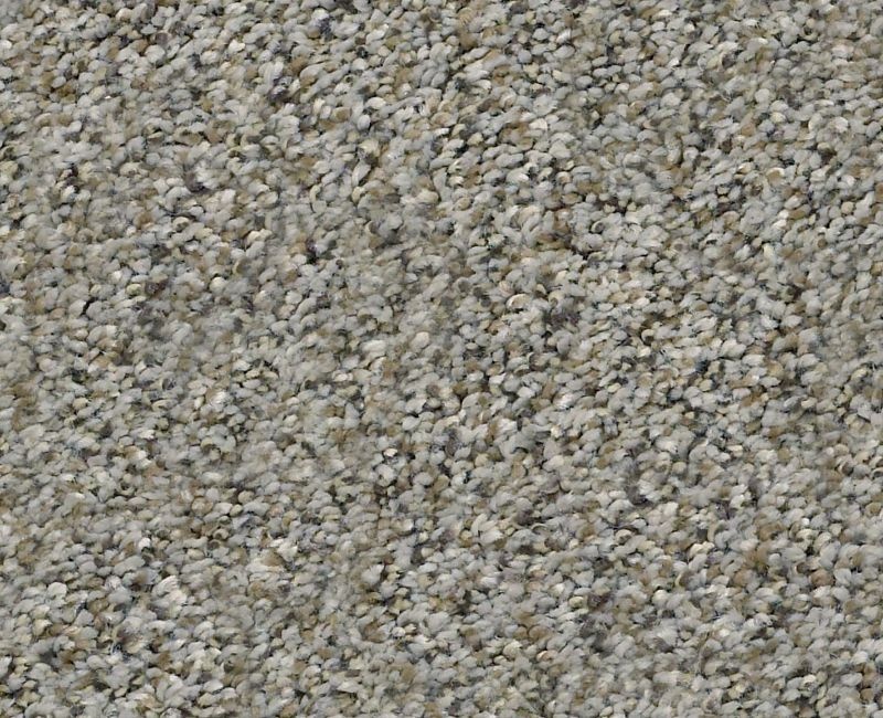 Watts Up Ii Rhino Polyester Carpet - Textured