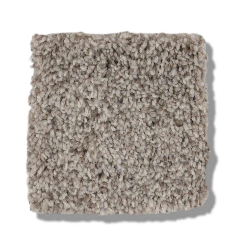 Pet Perfect Plus Calm Serenity Ii Desert View Polyester Carpet - Textured