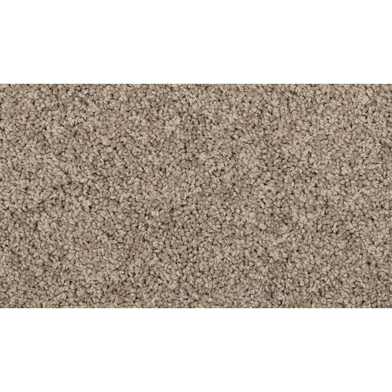 Renovate Iii Dock Polyester Carpet - Textured