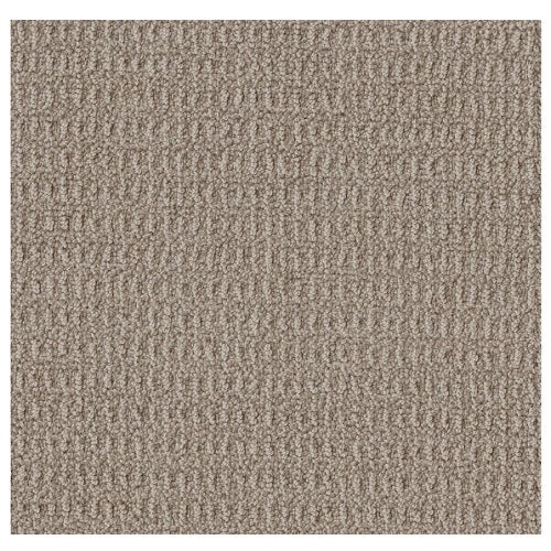 Crystal Cove Pumice Nylon Carpet - Pattern