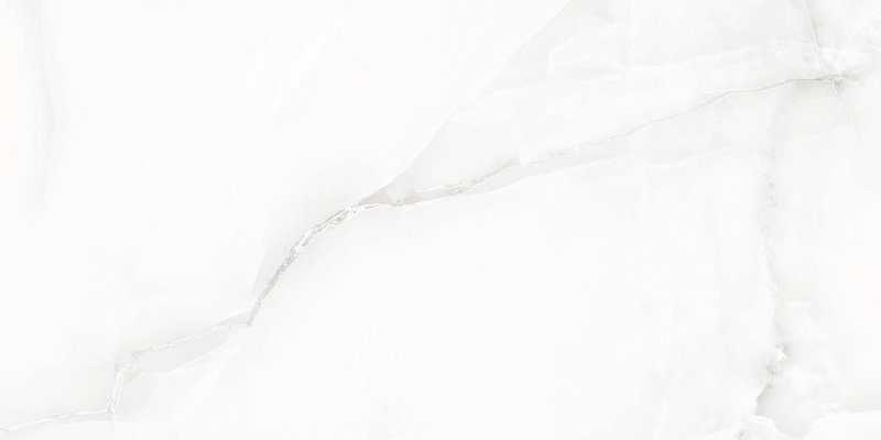 Taj Palace Bianco Porcelain Tile - Polished - 24" X 48"