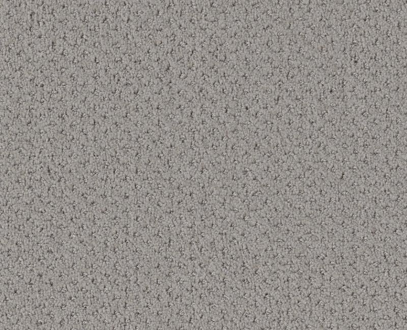 Pure Instinct Silhouette Nylon Carpet - Textured