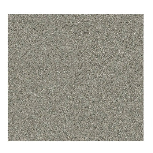 Trancas Tempting Taupe Polyester Carpet - Textured