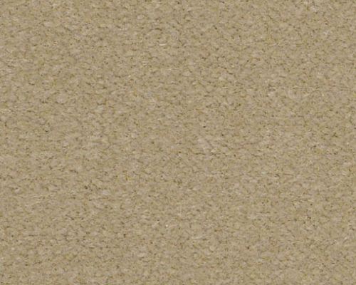 Emphatic Ii 30 Sand Pebble Nylon Carpet - Textured