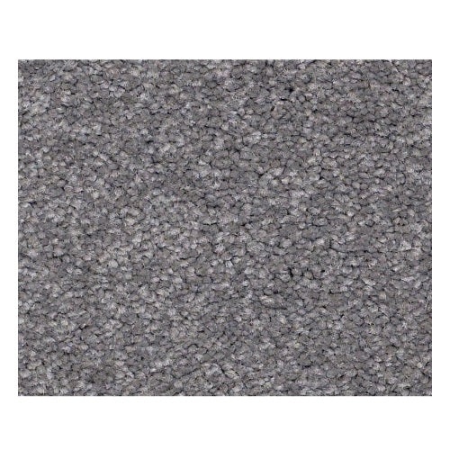 Qs157 12' Slate Nylon Carpet - Textured