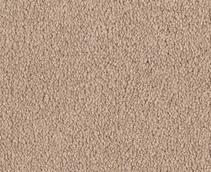 Magic Happens Pv I Cameo Nylon Carpet - Textured