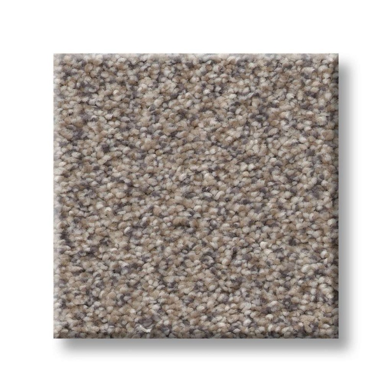 Simply The Best Values Trusplendor Concrete Polyester Carpet - Textured