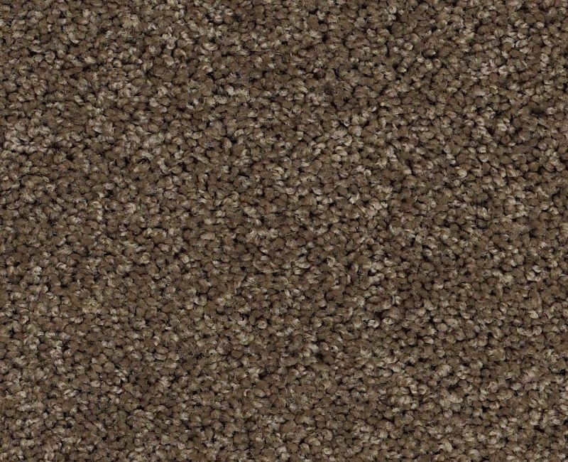 Orlando Pv Townhouse Nylon Carpet - Textured