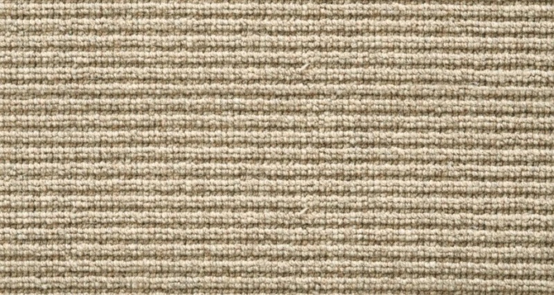 Natural Wonders Landslide Dakota Tan Wool Blend Carpet - Textured