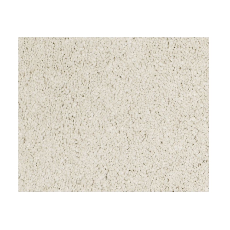 Castle Pv Iii Fresh Cream Nylon Carpet - Textured