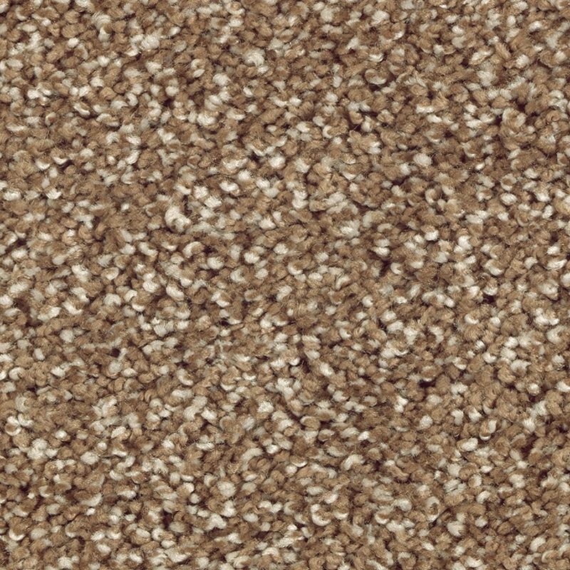 Stonington Manor II Rich Earth Triexta Carpet - Textured