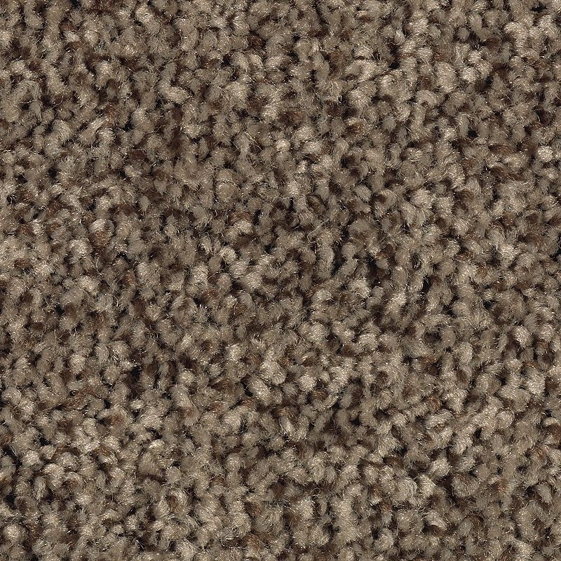 Tonal Chic Ii Party Mix Polyester Carpet - Textured