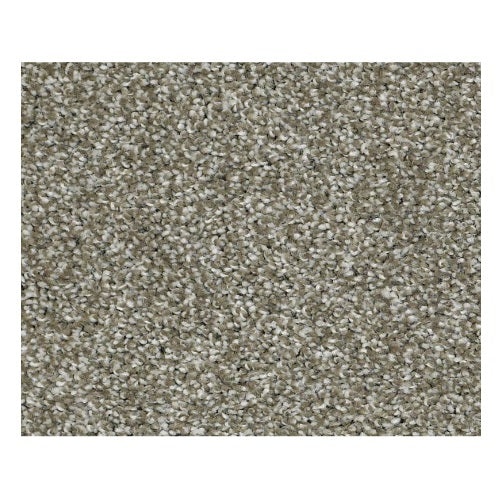 Vacation Day Mistletoe Nylon Carpet - Textured
