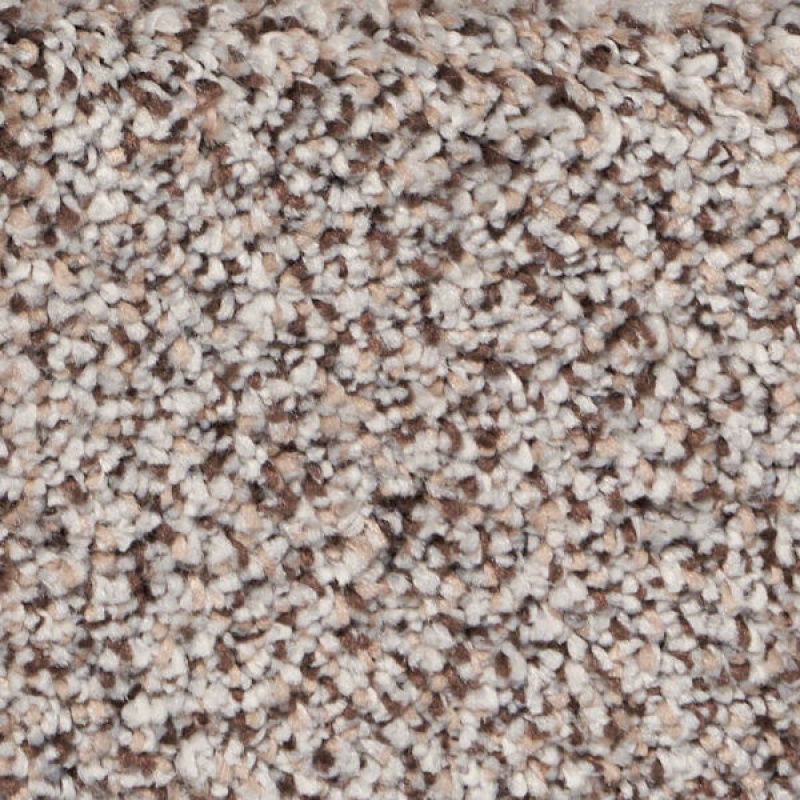 Exalted Prime Glorious Polypropylene Carpet - Textured