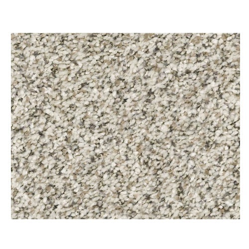Temescal Atlantic Sand Polyester Carpet - Textured