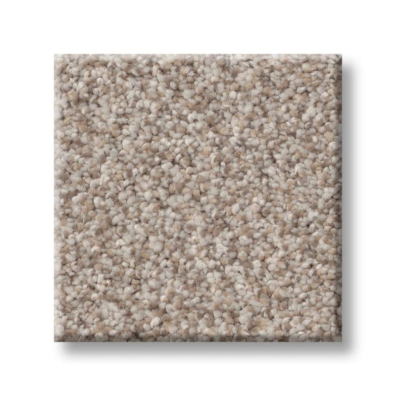 Simply The Best Values Truspirit II Mist Textured Polyester Carpet
