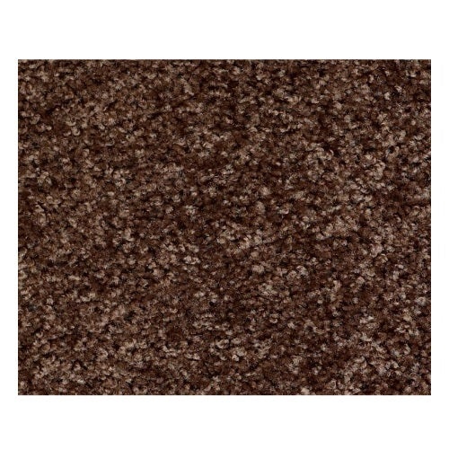 Vermont (S)12' Montana Nylon Carpet - Textured