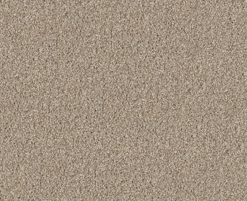 Anso Open Iii (T) Cork Board Nylon Carpet - Textured