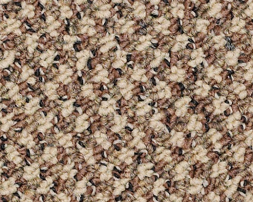 New Basics Preeminence Nylon Carpet - Loop