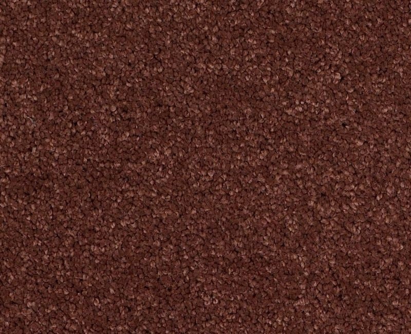 Pelotage Iv Guanaco Nylon Carpet - Textured