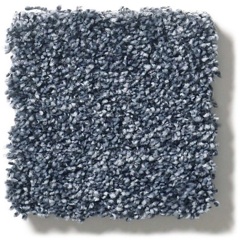 Pet Perfect Plus Just A Hint I Indigo Polyester Carpet