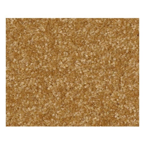 Qs235 Ii 12' Golden Rod Nylon Carpet - Textured
