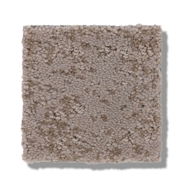 Caress By Shaw Artistic Presence Tumbleweed Nylon Carpet - Pattern