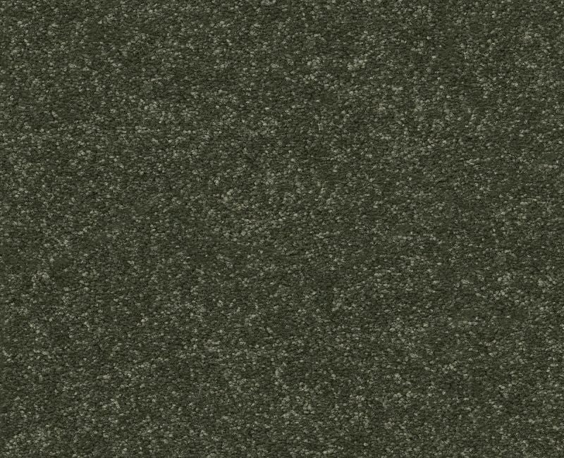 Off The Leash Ii 12 Rerooted Nature Polyester Carpet - Loop