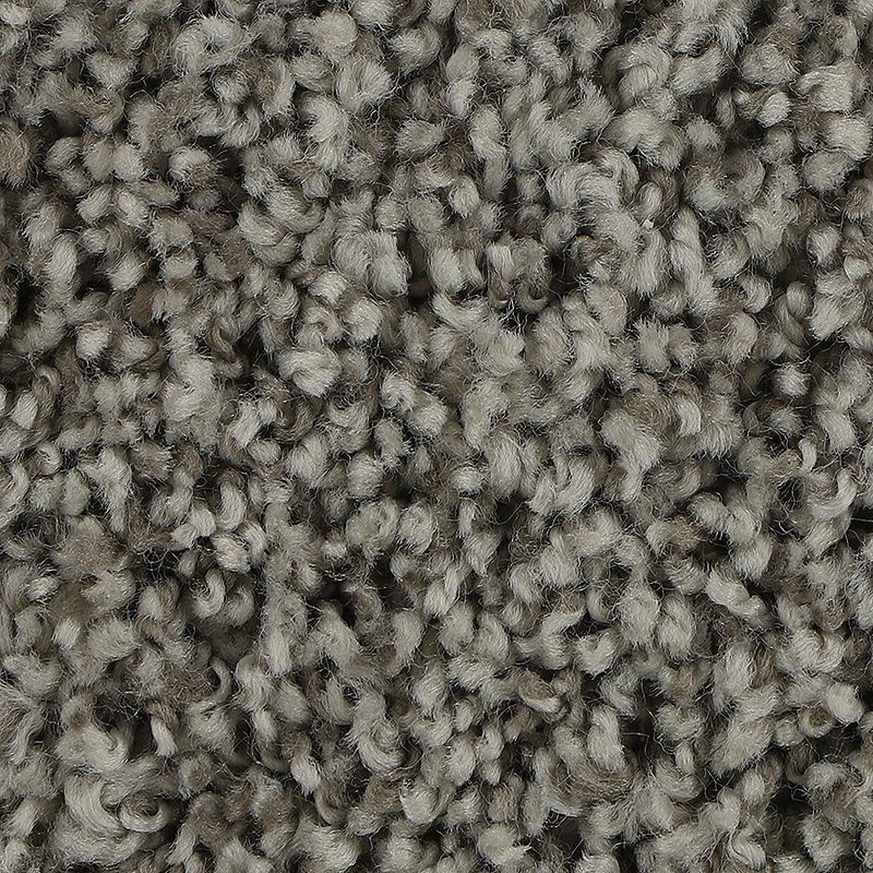 Soft Aspect Greige Tint Polyester Carpet - Textured
