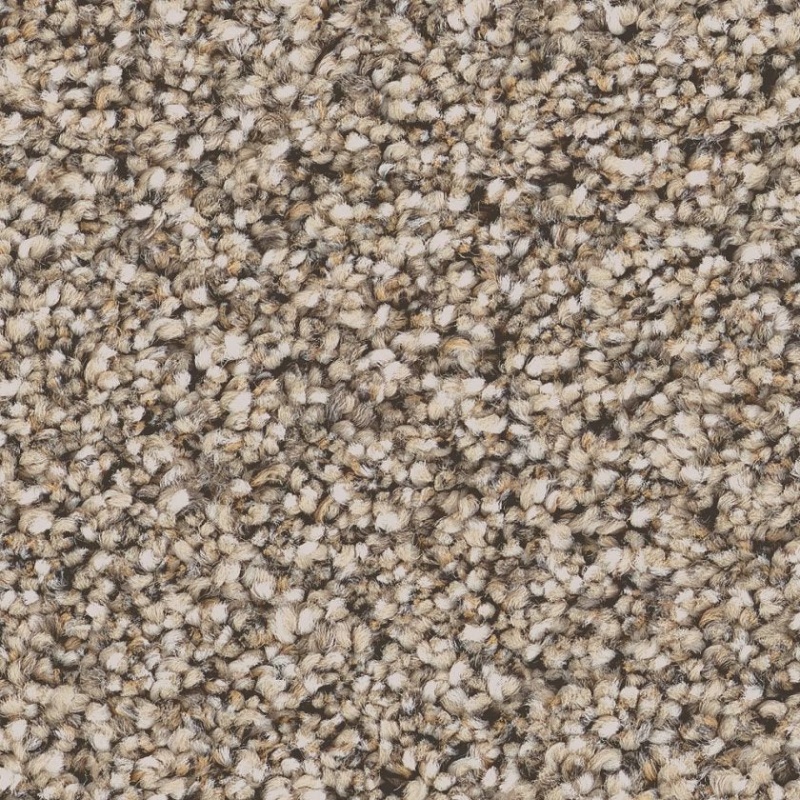 Pet Perfect Grand Influence Ii Stucco Polyester Carpet - Textured