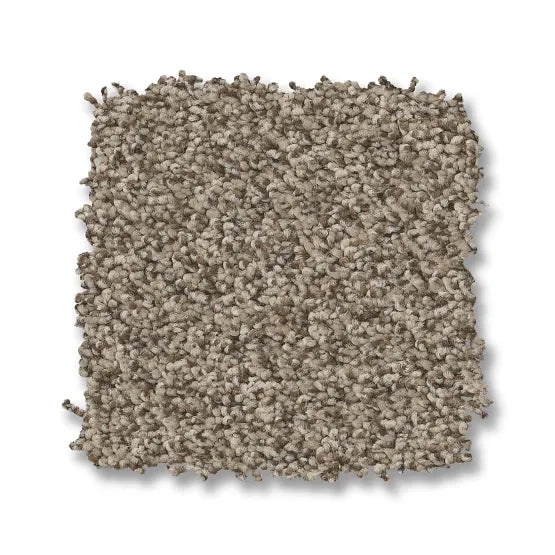 Avalon Bay Chic Taupe Nylon Carpet - Textured