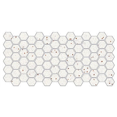 Unglazed Mosaics Salt & Pepper Porcelain Mosaic - 2" Hexagon - Unglazed